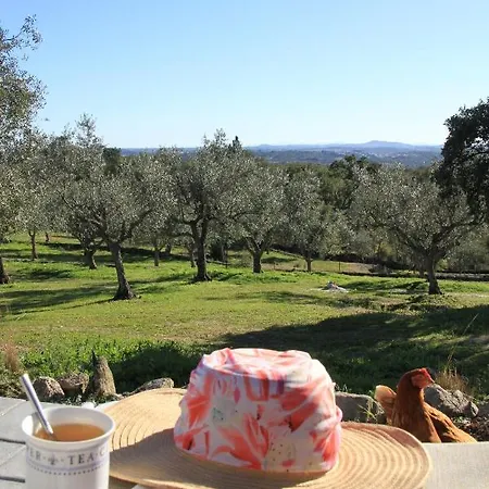 Bed and Breakfast Espirito *