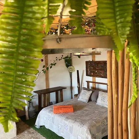 Espirito Bed and Breakfast *